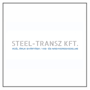 steel-transz_logo E2025